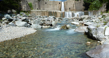 2010-057.jpg