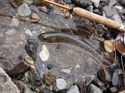 20120531_009.jpg