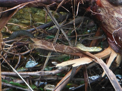 20120802_002.jpg