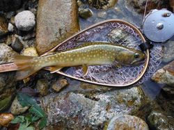 20120802_005.jpg