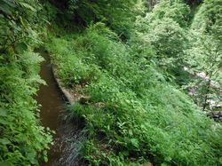 20120808_001.jpg
