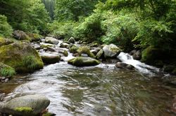 20120808_002.jpg