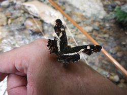 20120824_003.jpg