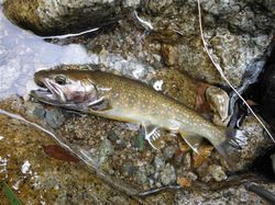 20120905-001.jpg