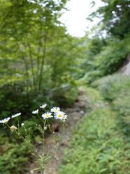 20120906-006.jpg