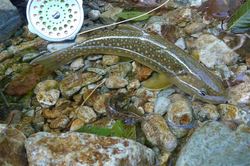 20120913-007.jpg