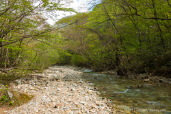 20130516_001.jpg