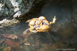20130516_002.jpg