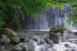 20130808_040.jpg
