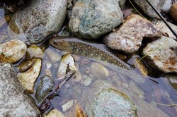 20130829-005.jpg