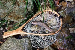 20130910-003.jpg