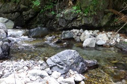 20140529-004.jpg