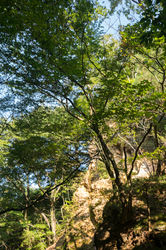 20140730_024.jpg