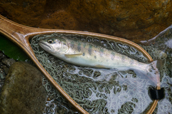20140730_078.jpg