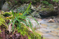 20140905-002.jpg