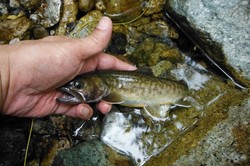 DSCF2192.jpg