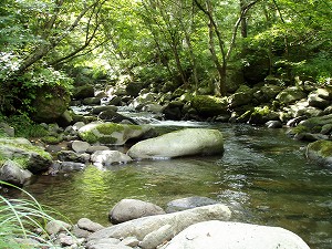 大門川&本沢1