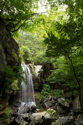 tochigi_shizen 155-1.jpg