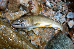20120719-001.jpg