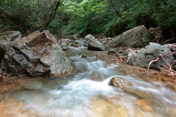 20120719-002.jpg