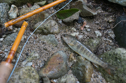 20140731_254.jpg