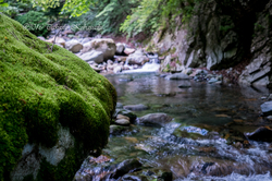 20160601-1946_001.jpg