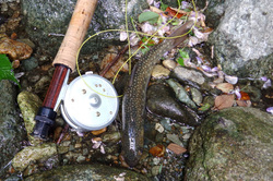 DSCF2598-1.jpg