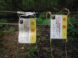 s-20120801-005.jpg