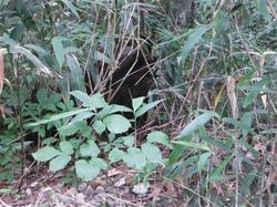 s-20120801-006.jpg